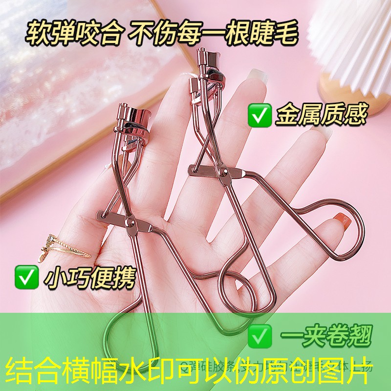 徐汇区新型绿化工程管理 徐汇区新型绿化工程管理