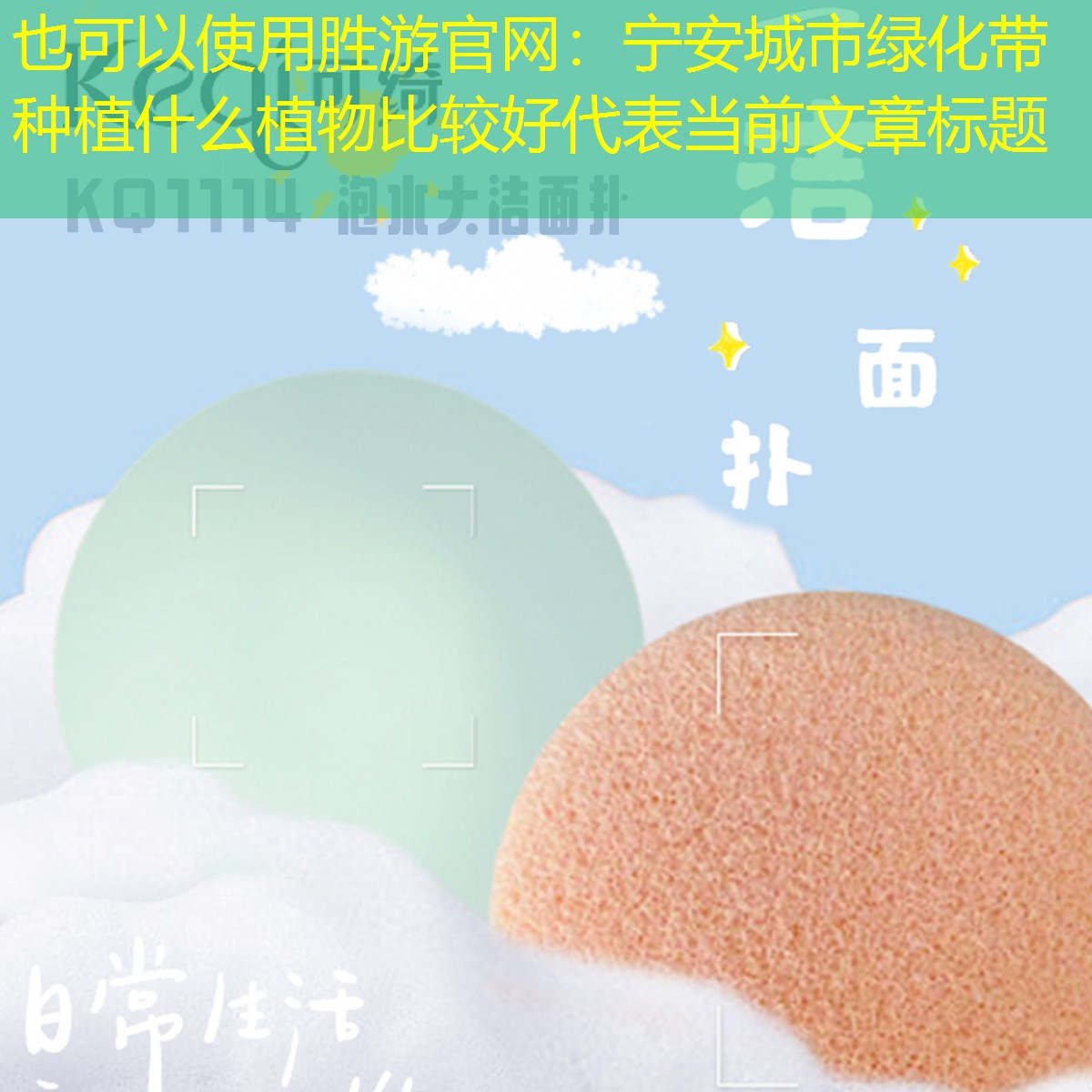 宁安城市绿化带种植什么植物比较好 宁安城市绿化带种植什么植物比较好