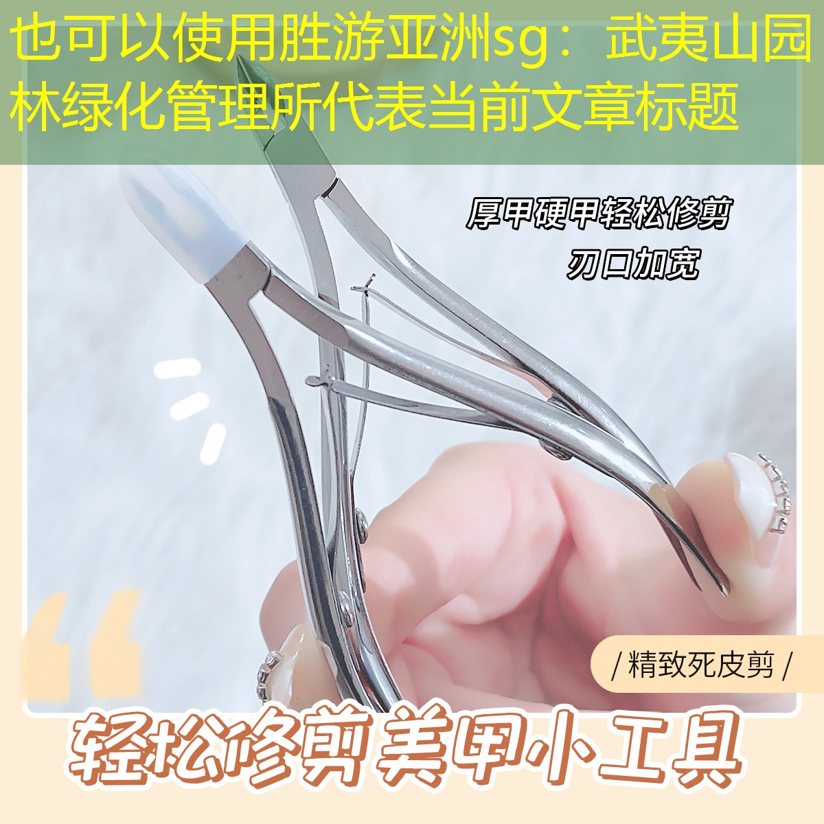 武夷山园林绿化管理所 武夷山园林绿化管理所