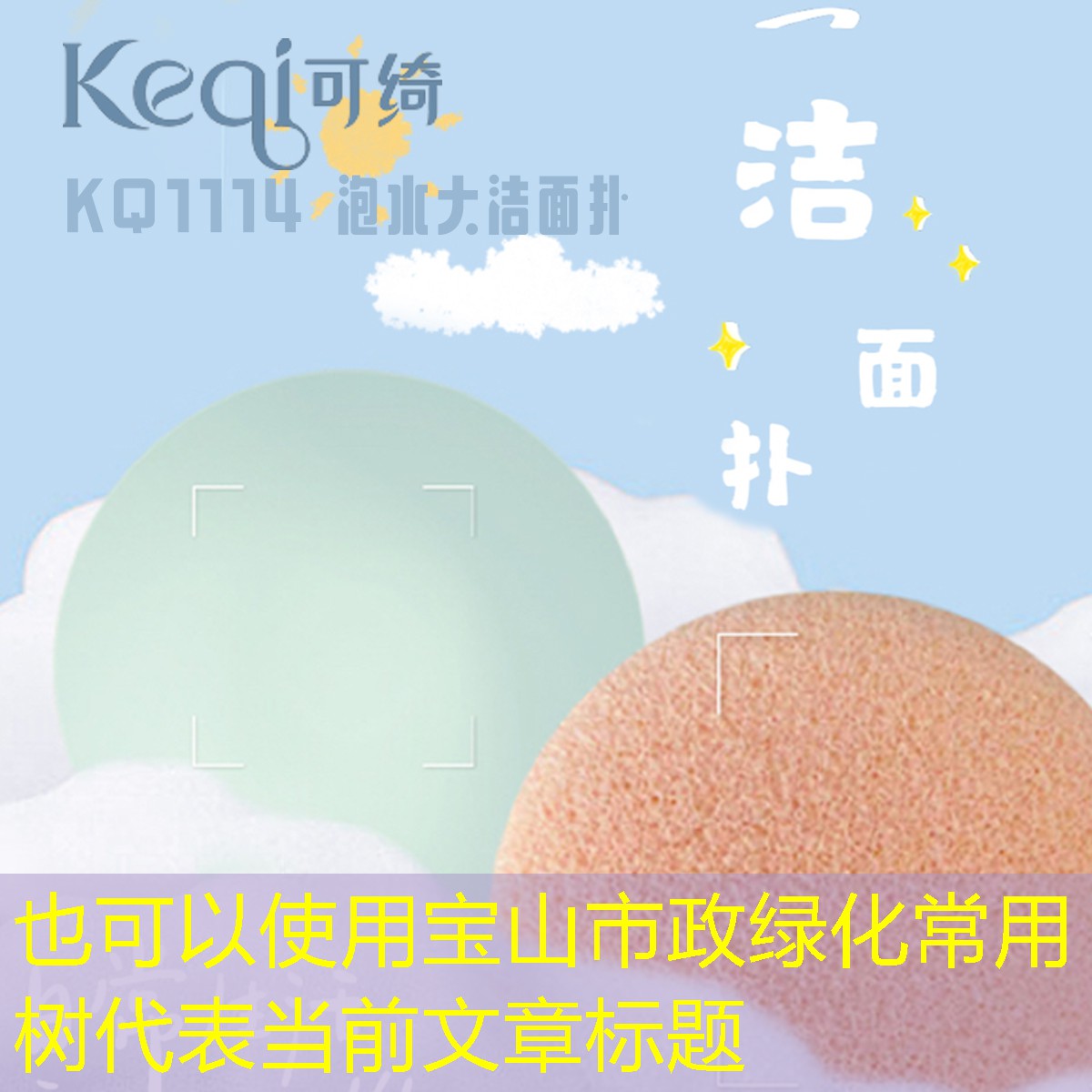 宝山市政绿化常用树 宝山市政绿化常用树