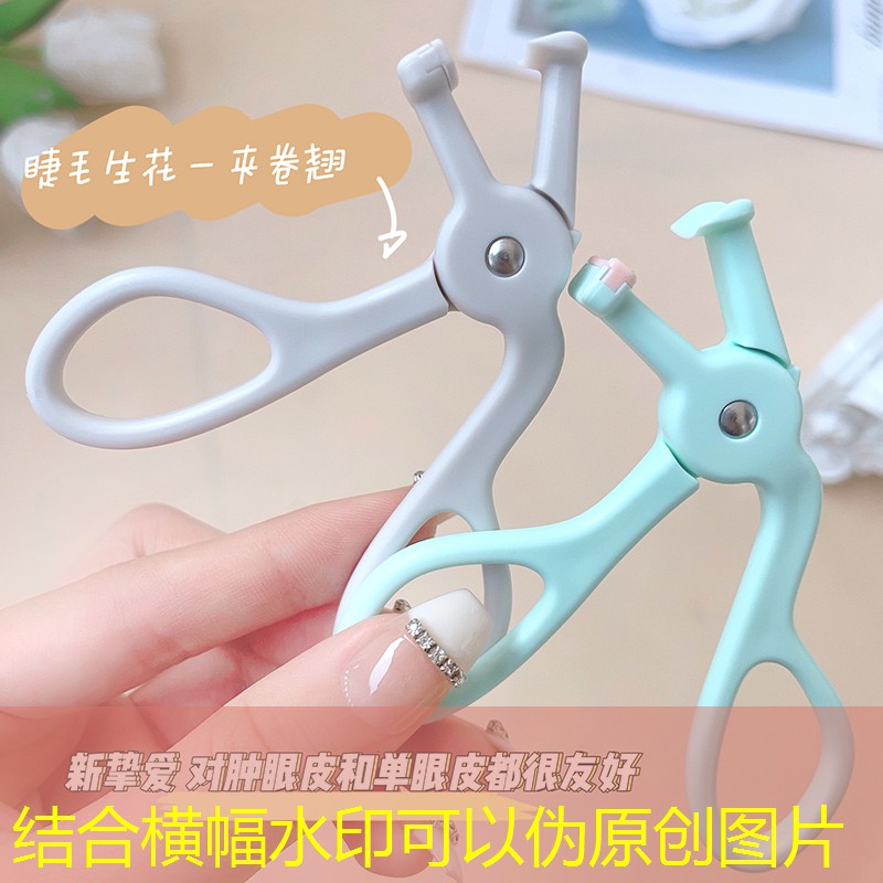 别墅绿化工程方案怎么写 别墅绿化工程方案怎么写