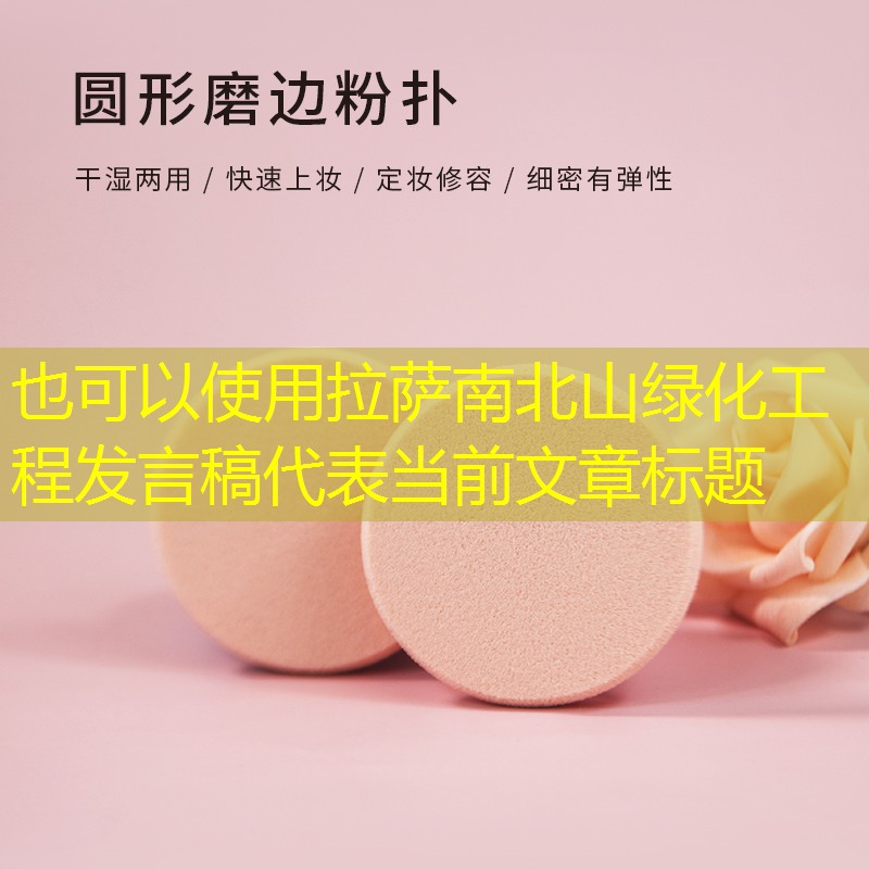 拉萨南北山绿化工程发言稿